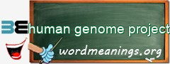 WordMeaning blackboard for human genome project